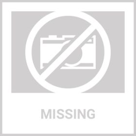 Dog Smoked Rawhide Sticks Wrapped Chicken Pet Natural Chew Treats Grain Free Organic Meat Healthy Human Grade Dried Snacks In Bulk